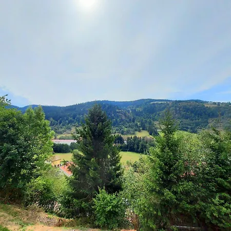 Holiday home La Parenthese La Bresse